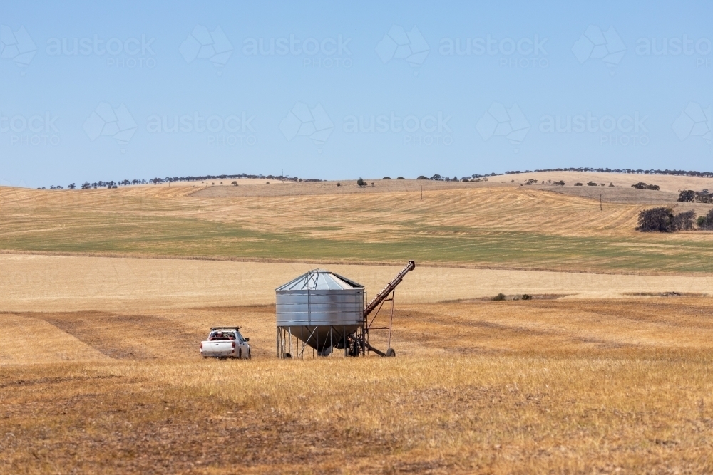 Silo and ute in paddock on hot summer day - Australian Stock Image
