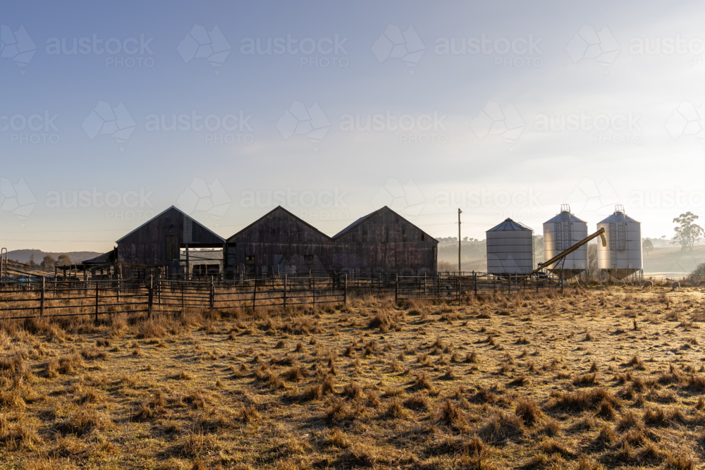 Silos and sheds on Aussie farm paddock in early morning light - Australian Stock Image