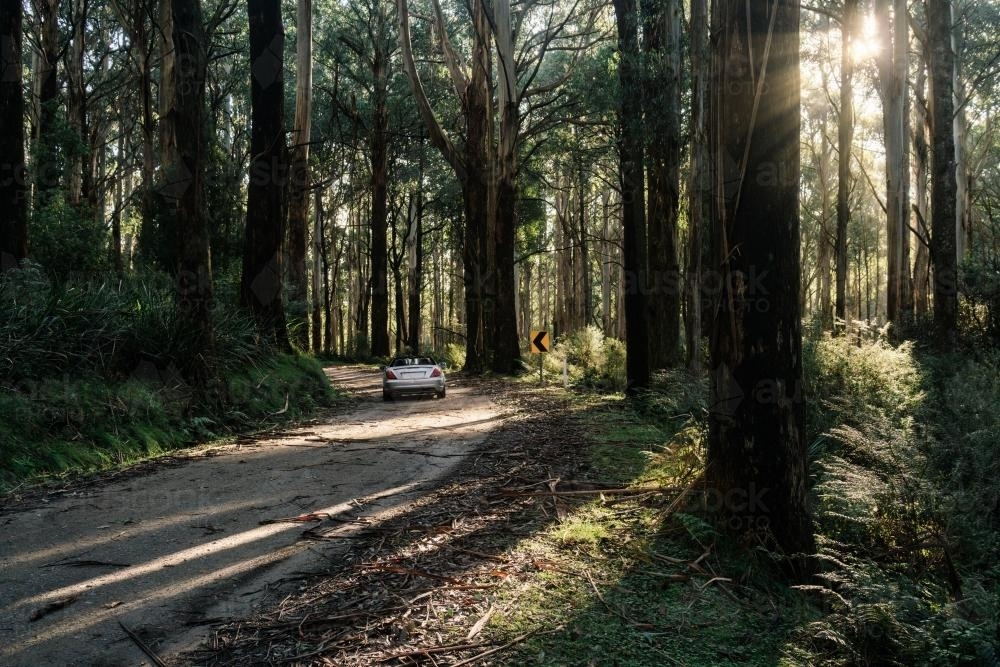Silver Sports Car on Mountain Road, near Healesville - Australian Stock Image