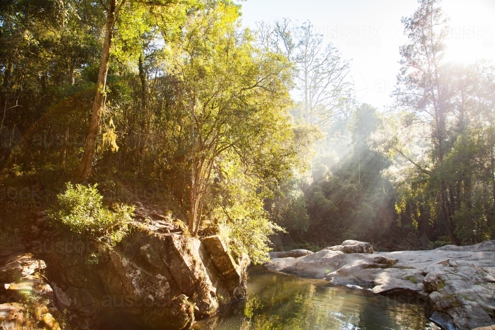 Image of Silver sun rays shining through trees onto beautiful landscape Ladies Well, Allyn River