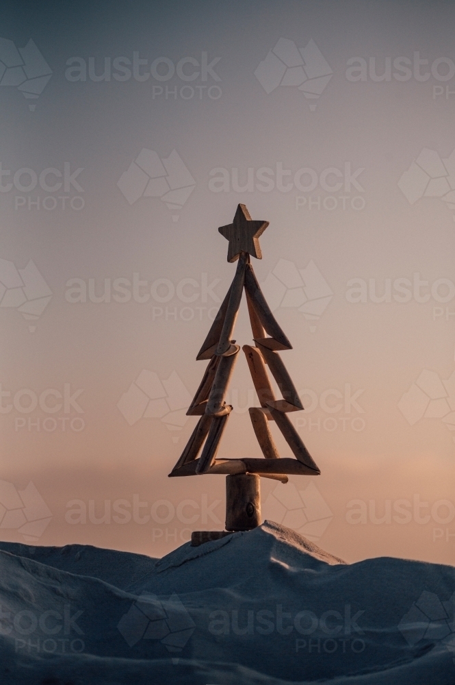 Simple driftwood tree in sand on the beach with beautiful sunrise tones - Australian Stock Image