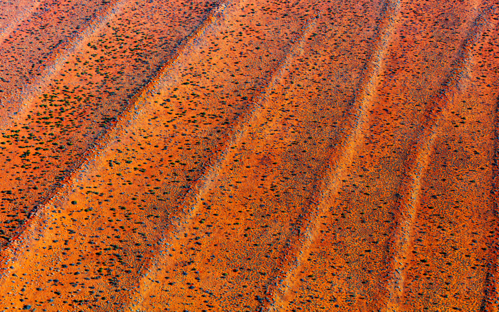 Simpson Desert, Sand Dunes - Australian Stock Image