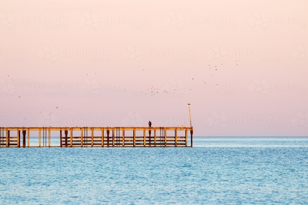 Single fisherman on jetty with birds flying off - Australian Stock Image