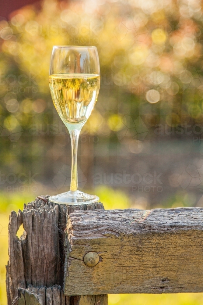 Single full wine glass sitting on a fence post in the backyard - Australian Stock Image