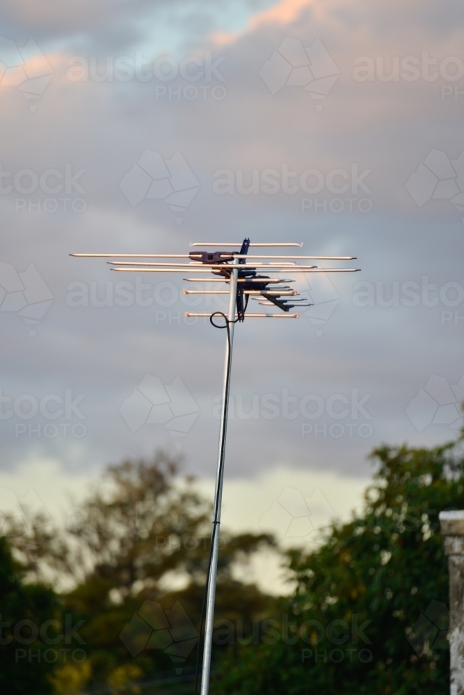 Single television antenna in the evening sun - Australian Stock Image
