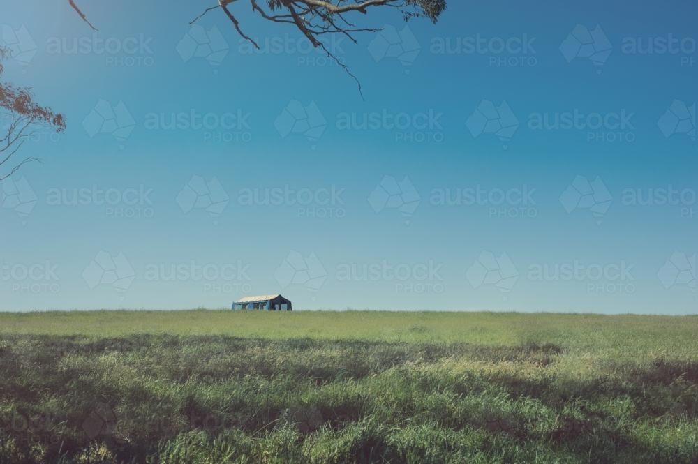 single tent on a hill in a green field - Australian Stock Image
