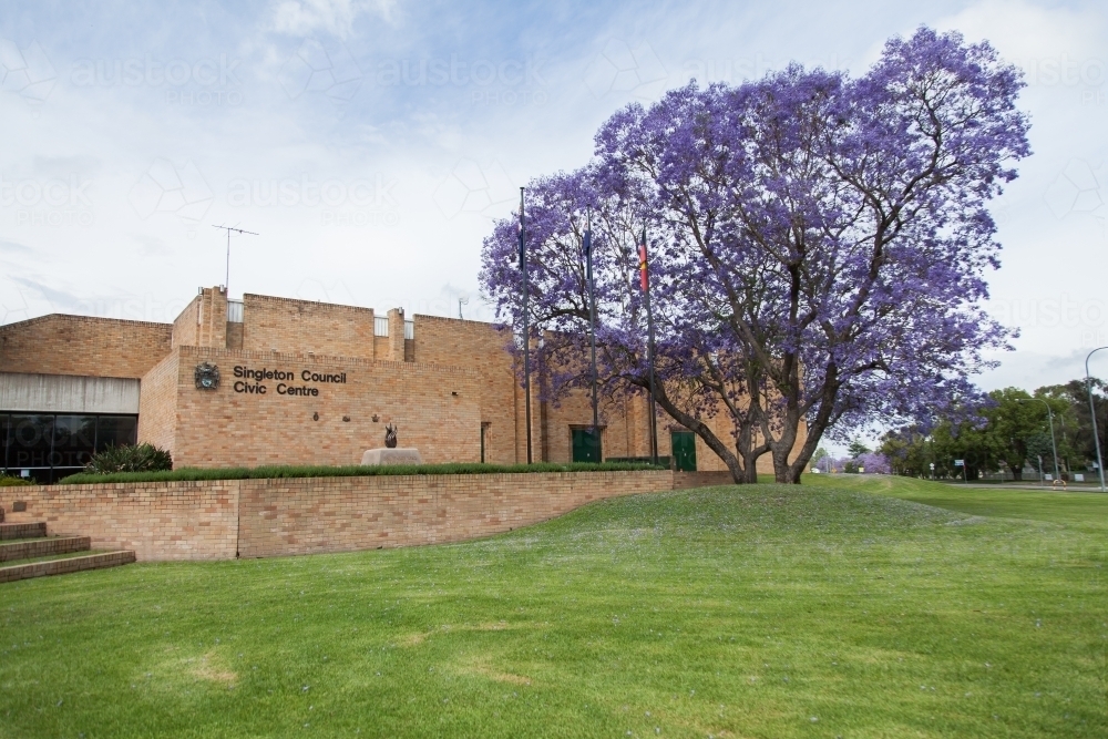 Singleton Council Civic Center with flags and jacaranda tree - Australian Stock Image