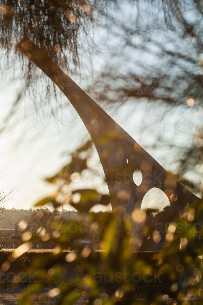 Singleton Tree Image of Singleton sundial seen through leaves of trees in golden ...