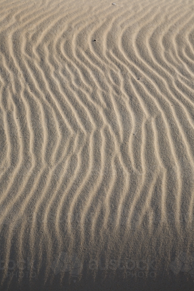 Image of Sinuous ripples on sand - Austockphoto