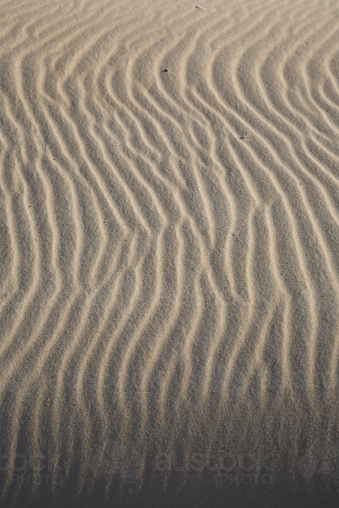 Sinuous ripples on sand - Australian Stock Image
