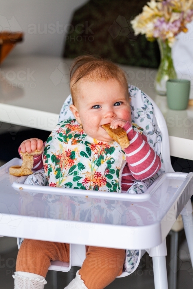 Image of Six month old baby girl eating toast for lunch in high chair
