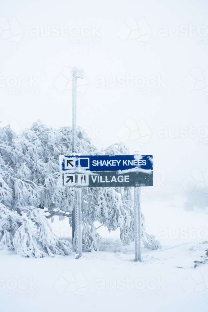Ski sign in misty, snowy terrain, vertical - Australian Stock Image