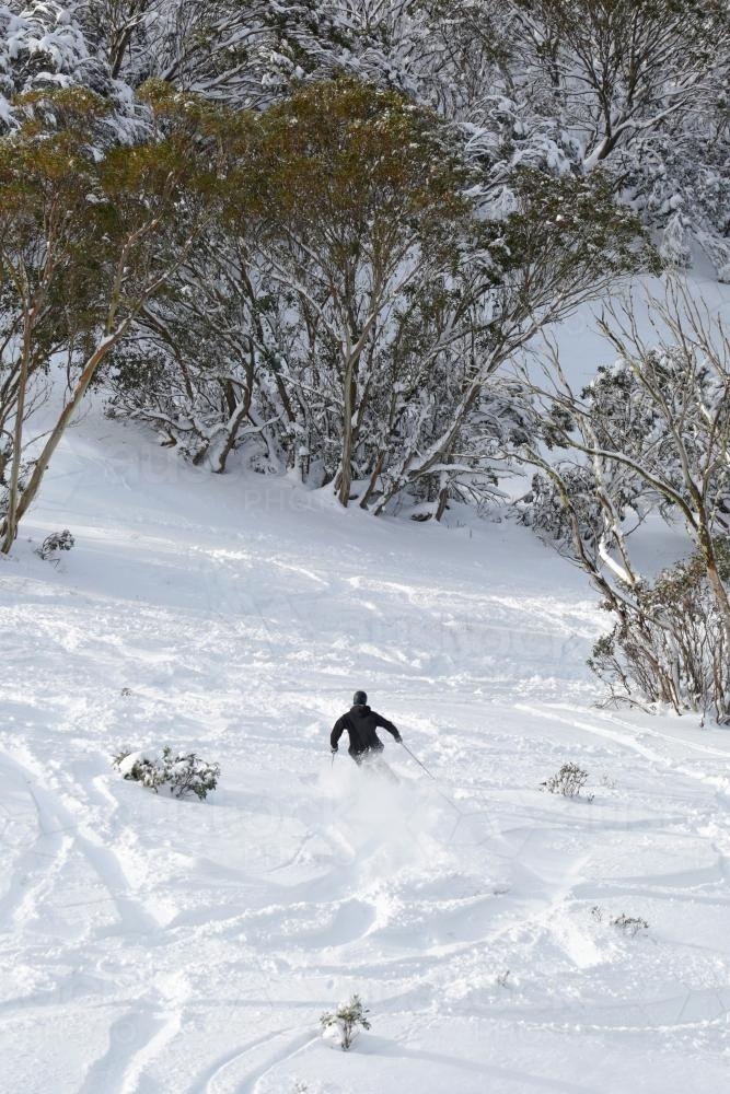 Skier going down hill - Australian Stock Image