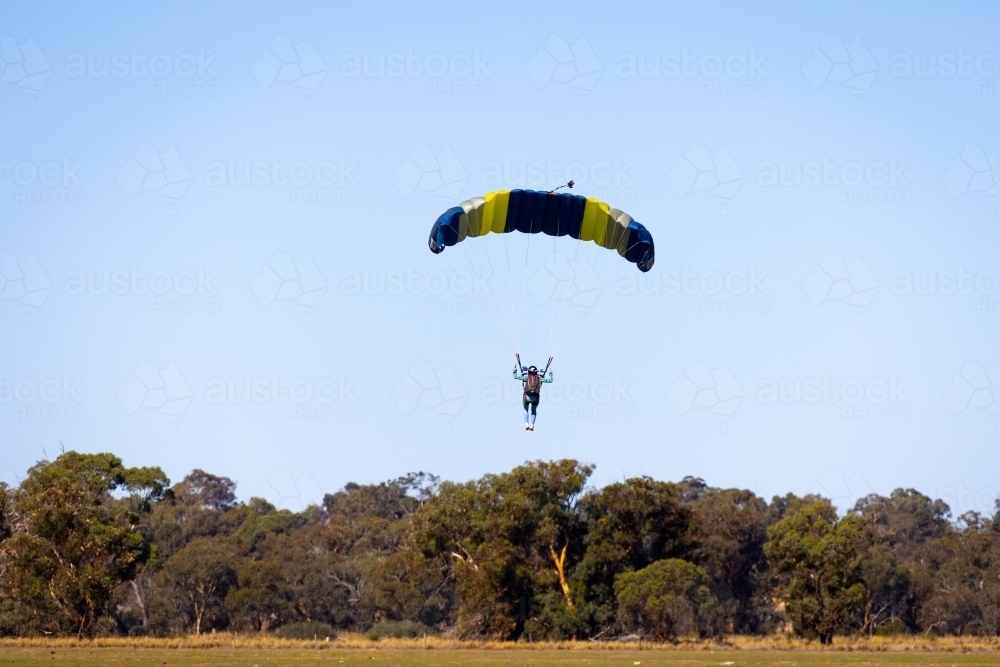 skydiver descending from blue sky near wooded area - Australian Stock Image