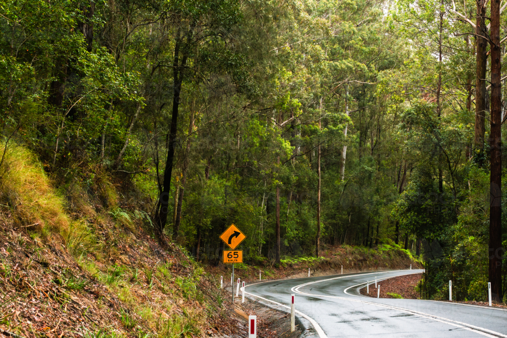 Slippery road bend on rainy day through Australian bushland with recommended speed sign of 65 km/h - Australian Stock Image
