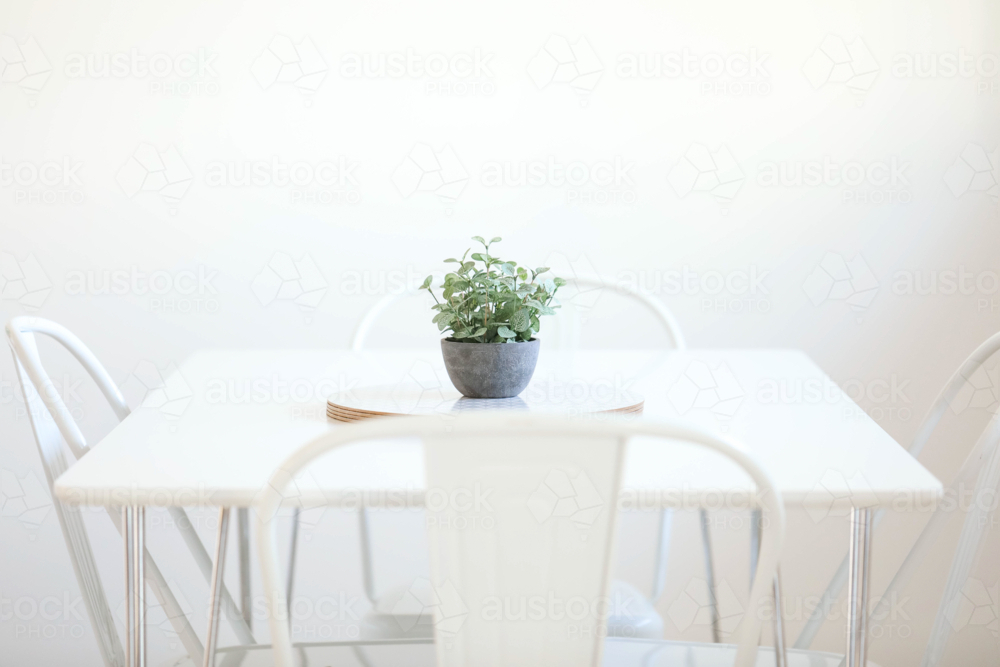 Small artificial plant sitting on stack of round place mats on white table - Australian Stock Image
