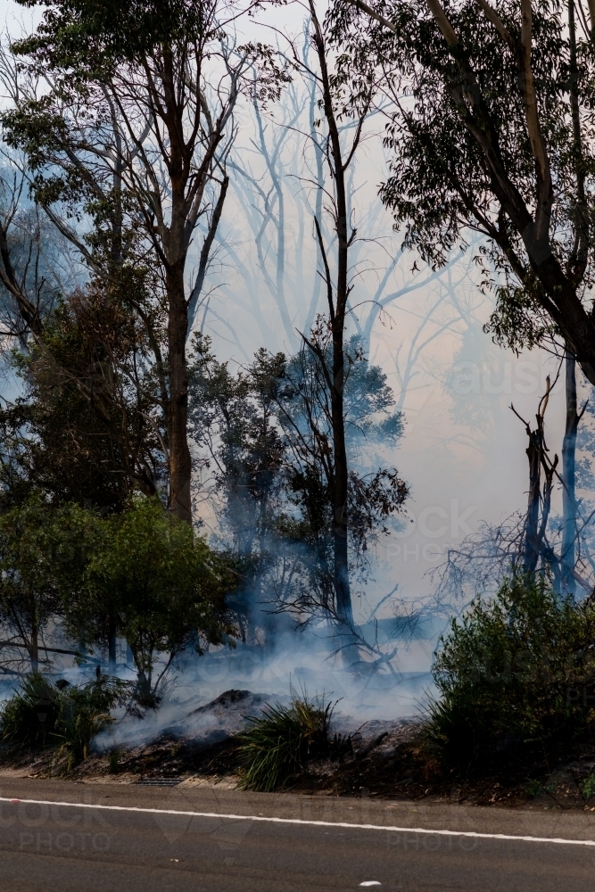 small bushfire - Australian Stock Image