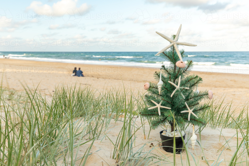 Small Christmas tree with starfish and shell ornaments on sand dunes at beach - Australian Stock Image
