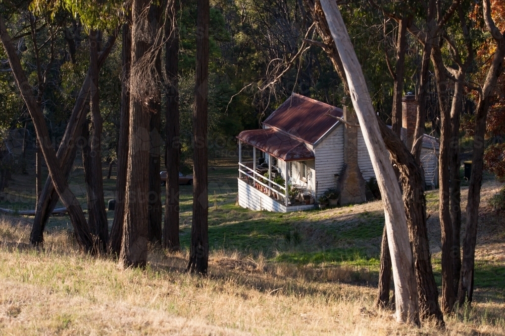 Small cottage situated among the gum trees - Australian Stock Image