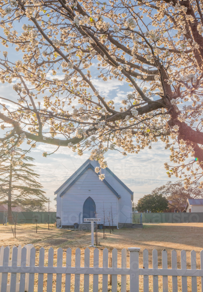 Small country church under a cloudy sky and framed by spring blossoms - Australian Stock Image
