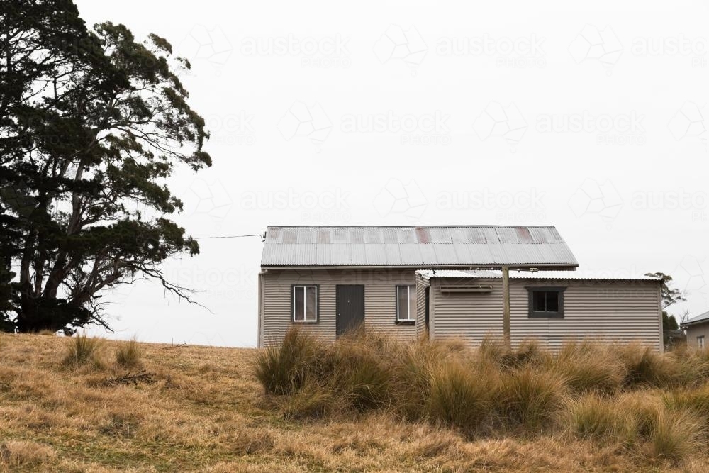 Small farm buildings with long grass and trees - Australian Stock Image