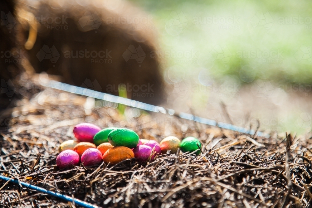 Small foil wrapped chocolate Easter eggs outside on hay bale - Australian Stock Image