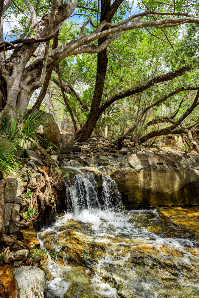Small freshwater waterfall cascading over rocky ledges beneath twisting native trees - Australian Stock Image