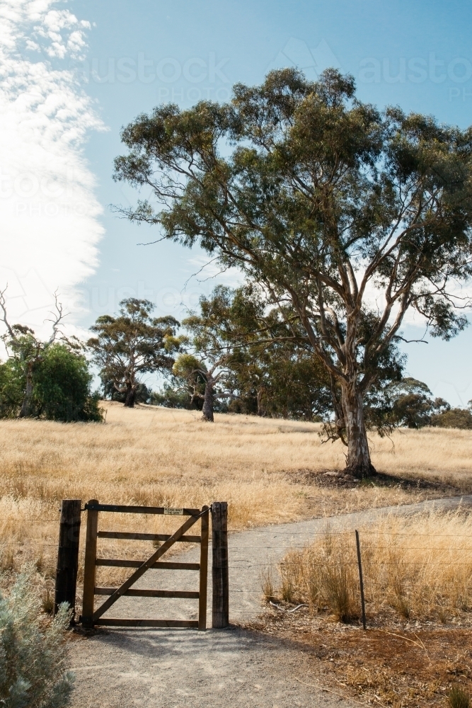 Small gate on footpath through farm - Australian Stock Image