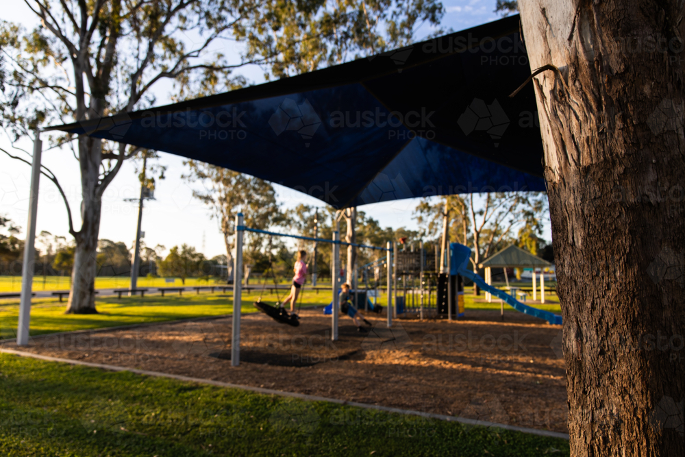 small local park out of focus with gumtree trunk in focus in foreground - Australian Stock Image