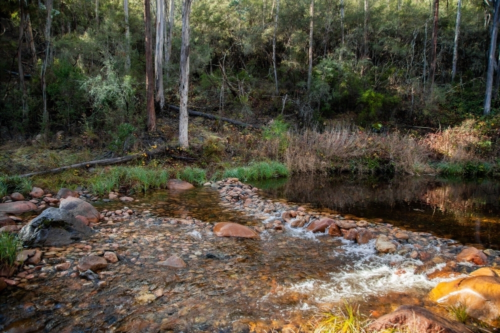small rock dam in mountain creek - Australian Stock Image