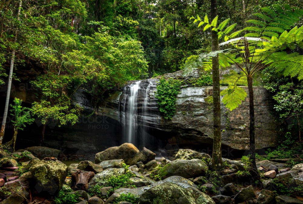 Small waterfall amongst rainforest plants and surrounded by rocks and boulders - Australian Stock Image