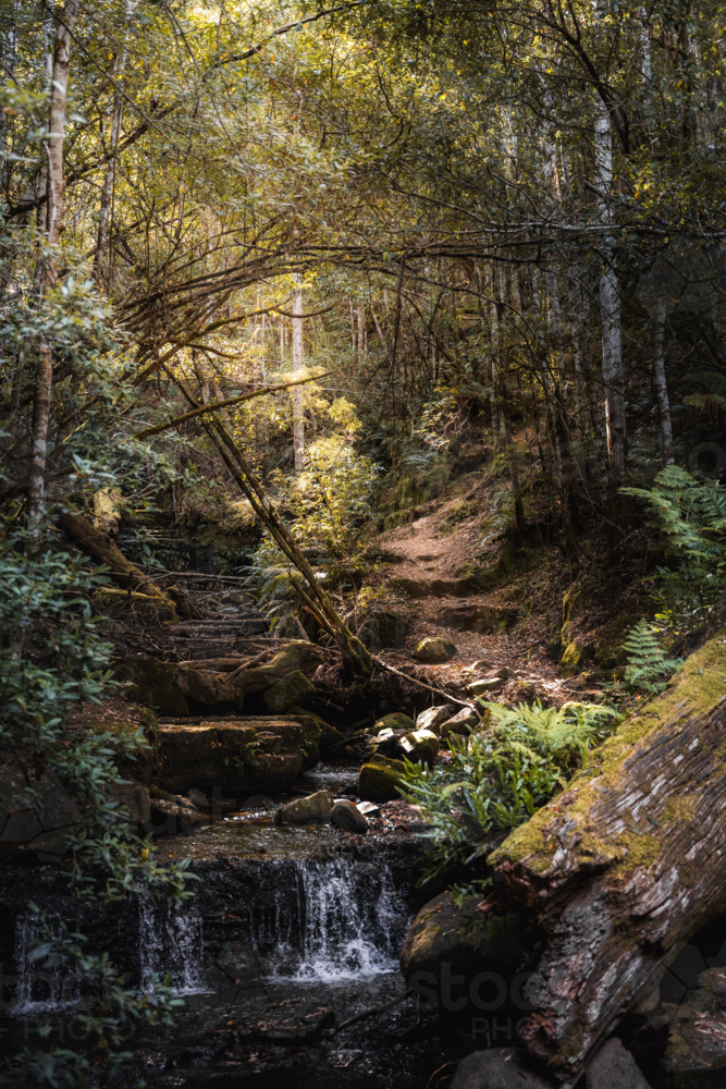 Small waterfall cascading over mossy rocks in the forest - Australian Stock Image