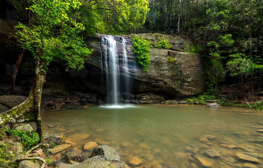 Small waterfall over large rock in green rainforest with pond and brown rocks - Australian Stock Image