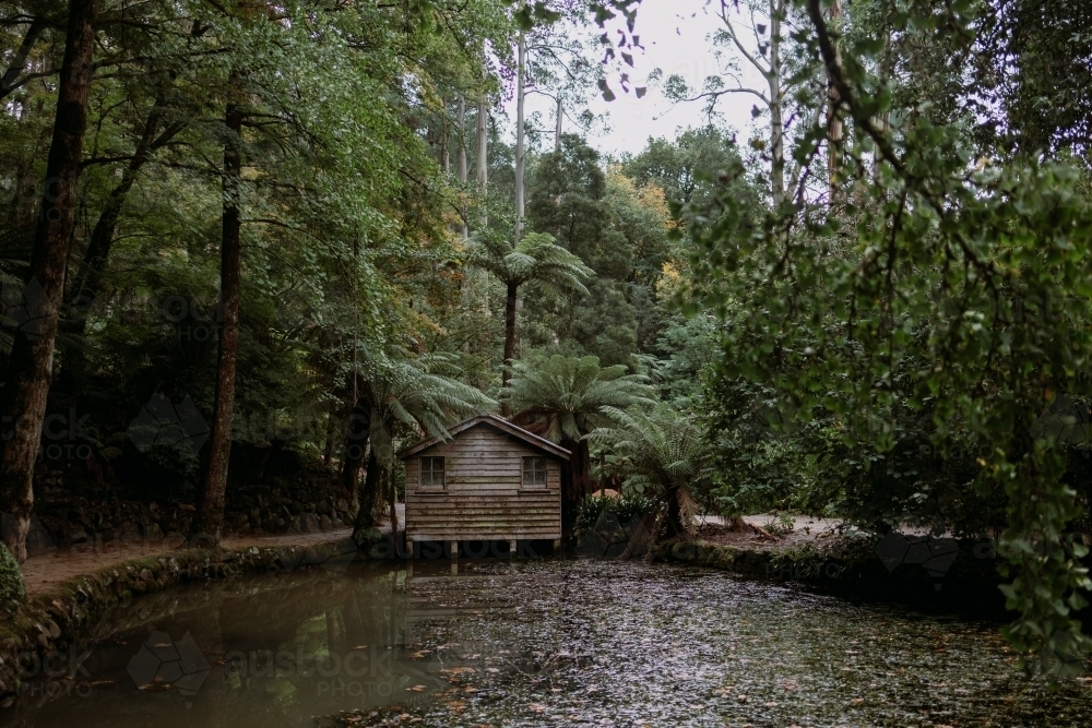 Small wooden house by the lake surrounded with trees - Australian Stock Image