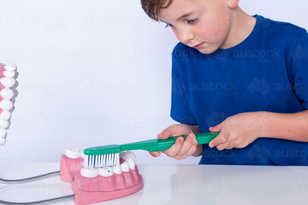 Smiling boy brushing teeth on a tooth model - Australian Stock Image