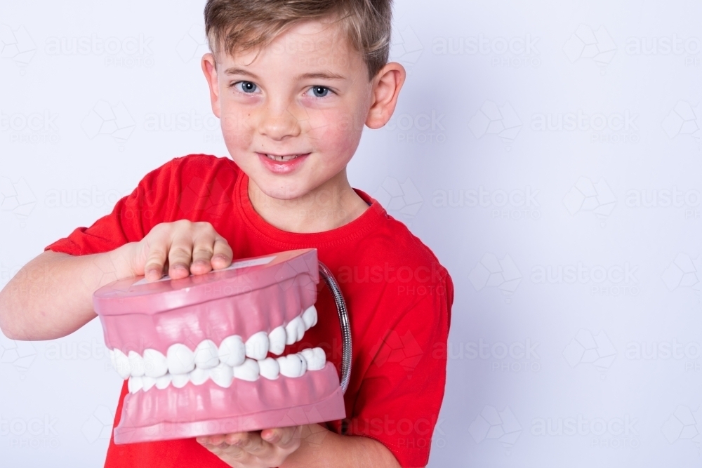 Smiling boy holding oversized tooth model - Australian Stock Image