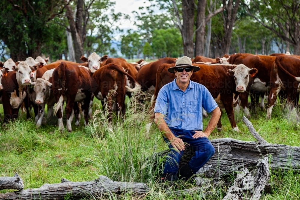 Smiling farmer with cattle behind in green paddock after rain - Australian Stock Image
