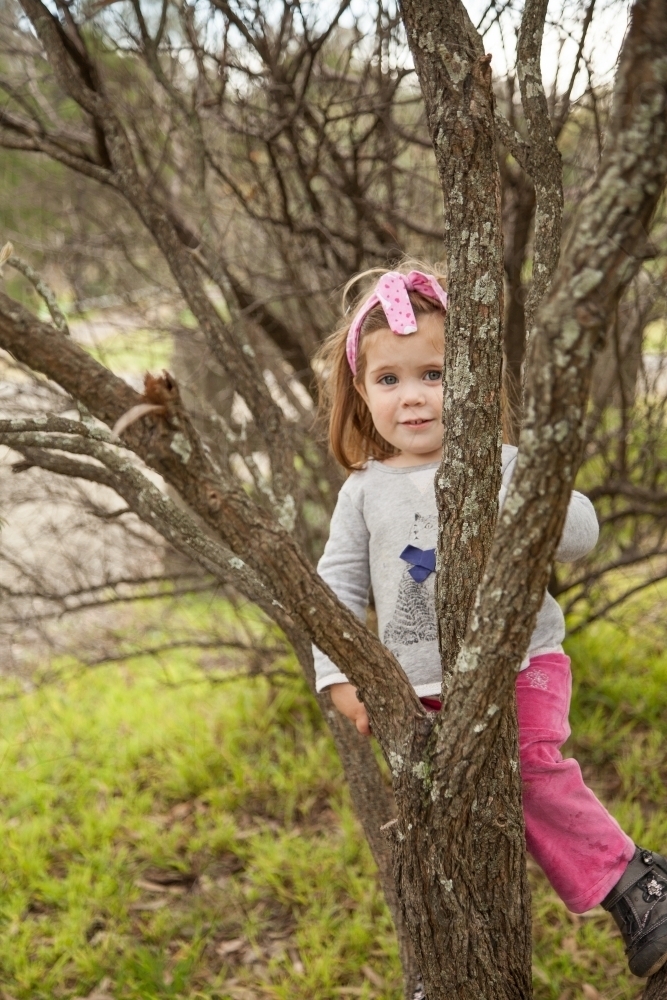 Smiling little girl climbing a tree - Australian Stock Image