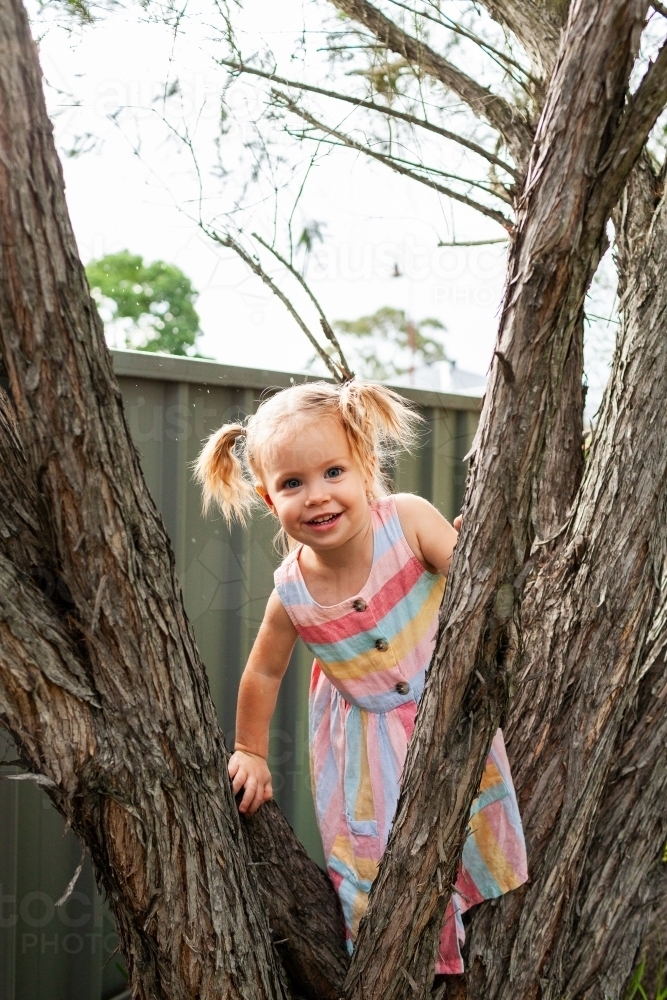 Smiling little girl climbing up tree in front yard of home - Australian Stock Image