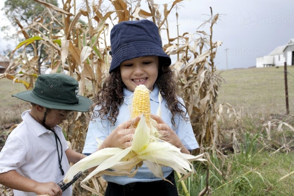 Smiling primary school girl holding freshly picked corn cob - Australian Stock Image