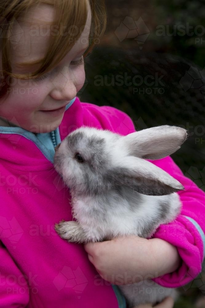 Smiling young girl holding a grey and white mini lop rabbit - Australian Stock Image