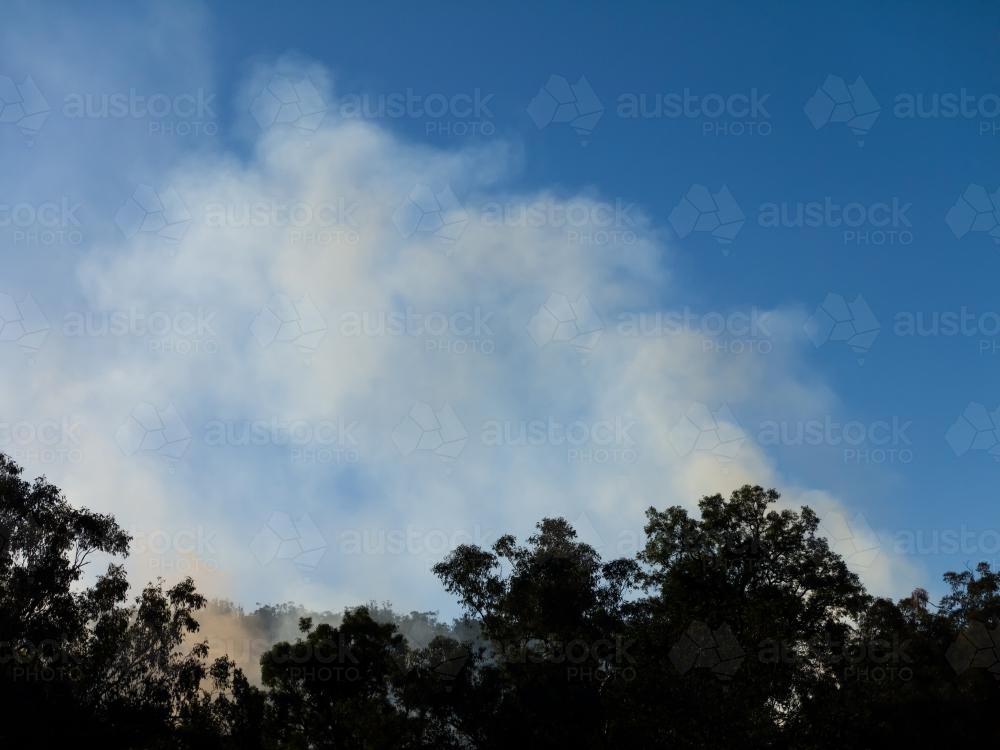 Smoke billowing from gum trees into a big blue sky - Australian Stock Image