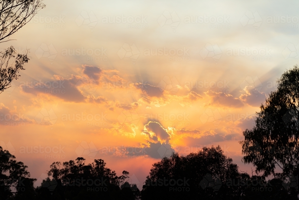Smokey sky sunset with clouds and silhouettes of trees framing sky - Australian Stock Image