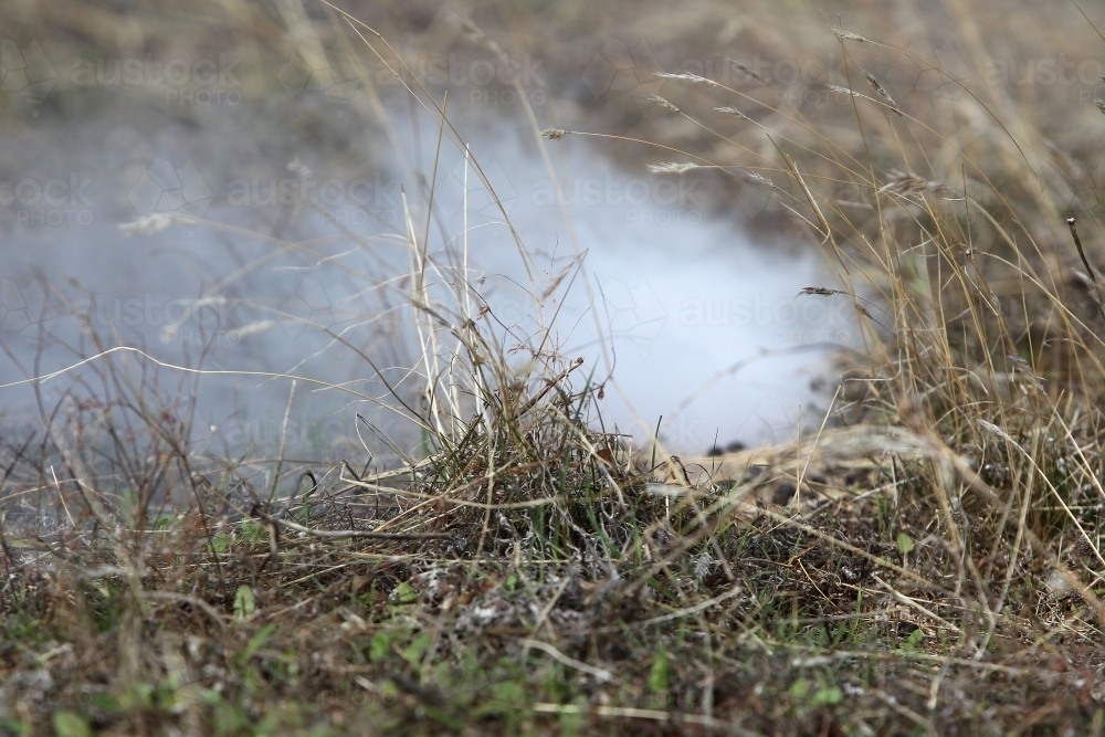 Smoking a rabbit burrow - Australian Stock Image