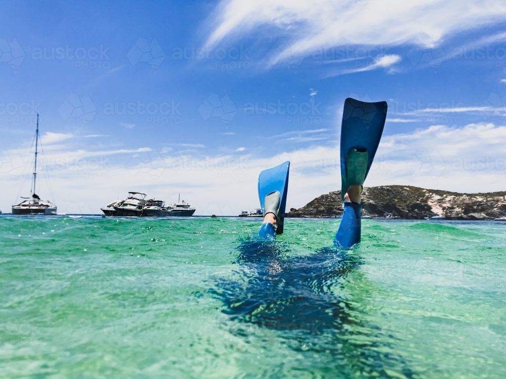 Snorkellers fins kicking above clear ocean  water with boats and coast in background - Australian Stock Image