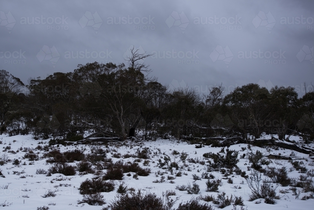 Snow covered landscape - Australian Stock Image