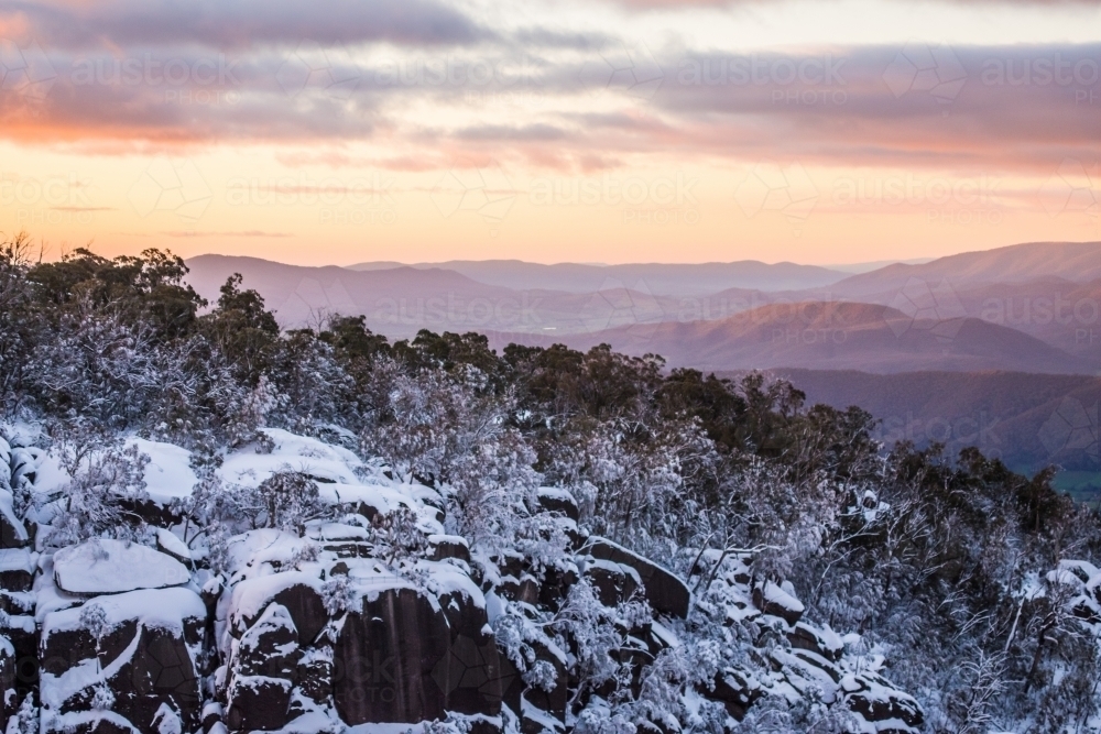 Snowy highland forest landscape in evening - Australian Stock Image