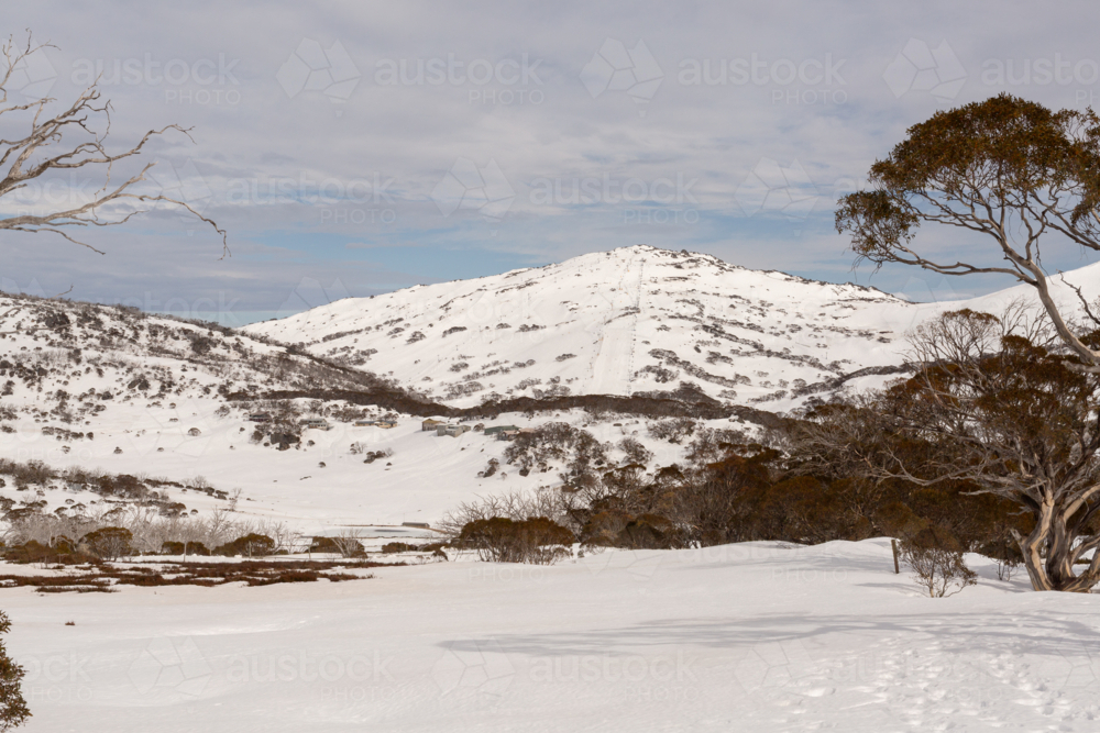 Snowy landscape at Perisher, Snowy Mountains Australia - Australian Stock Image