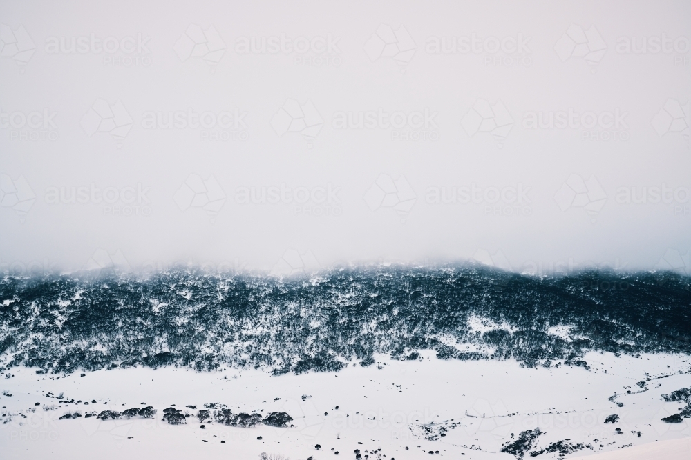 Snowy landscape with trees and snow copy space - Australian Stock Image