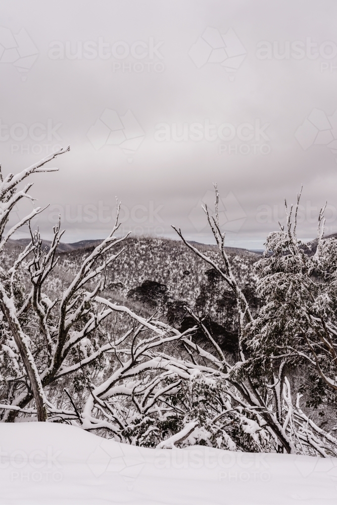 snowy mountain - Australian Stock Image
